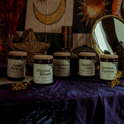Fall Collection Bundle